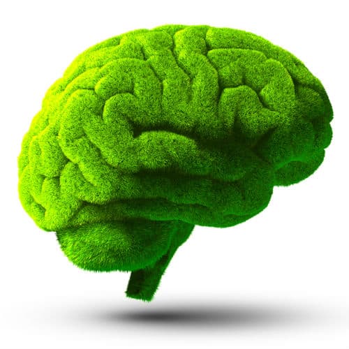 effets omega 3 cerveau