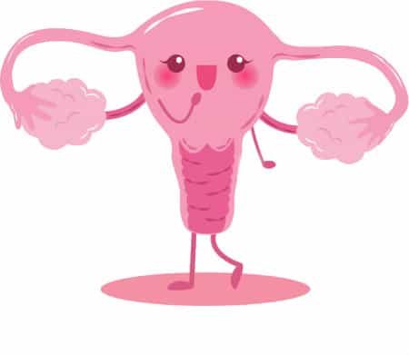 uterus content probiotique