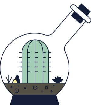 cactus bruleur de graisse