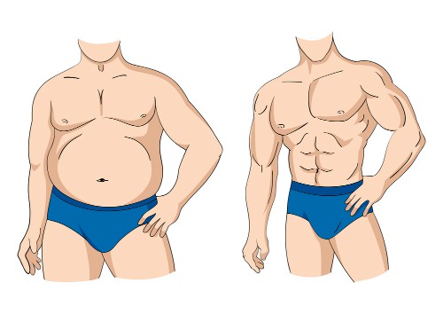 morphologie et perte de poids