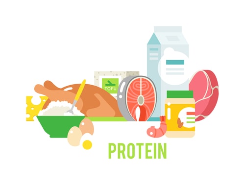 proteine vegetale et animale