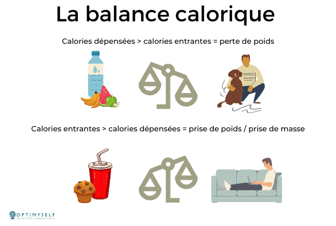8- balance calorique 