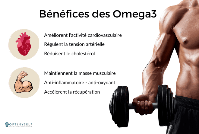 11 omega3 - coeur - muscles