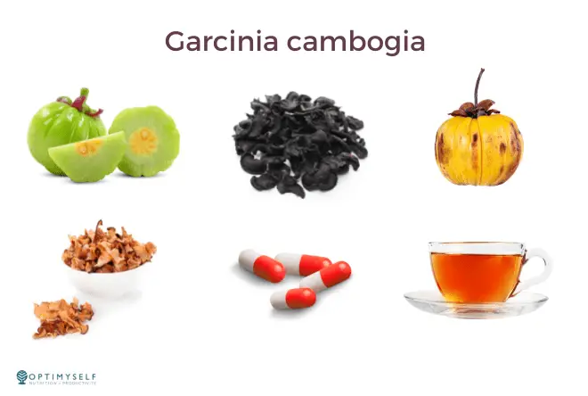 Garcinia - cambogia