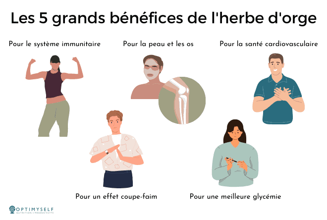 Les 5 benefices