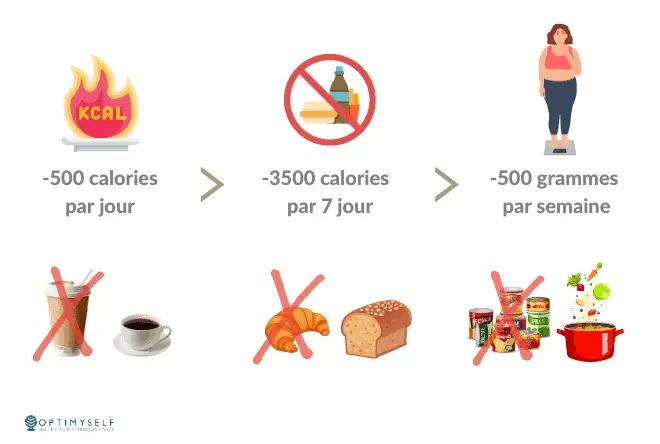 combien peut-on perdre de poids par semaine en diminuant son apport de 500 kcal par jour ?